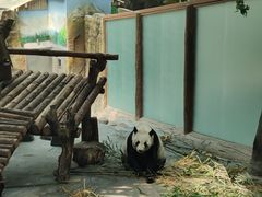-青藏高原野生动物园