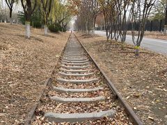 -永定河休闲森林公园