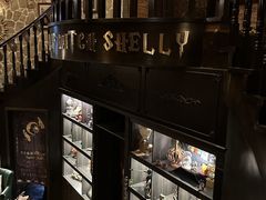 -雪灵魔法世界SHELLY’S TAROT(大良桂畔里店)