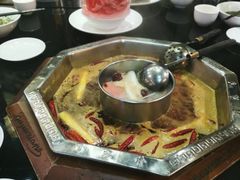 -蜀九香火锅(九眼桥店)