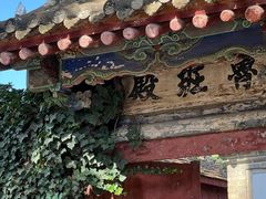 -玉泉观