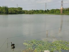 -昆山城市生态森林公园