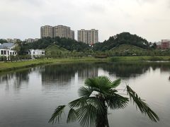 -景德镇中国陶瓷博物馆西山湖凯莱度假酒店