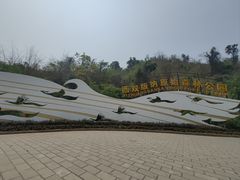 -西双版纳原始森林公园