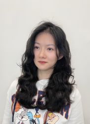 -YESIDO椰岛造型