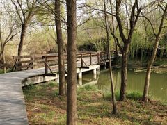 -溱湖国家湿地公园