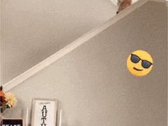 -酒井酱子·深夜食堂(东城汇店)