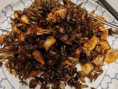 -新吉士·上海菜(浦东LCM置汇旭辉店)