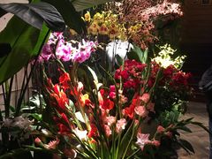 -春暖花开(西溪店)