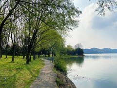 -东湖落雁景区