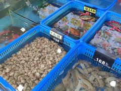 -七鲜渔港美食餐厅(巽寮湾海景店)