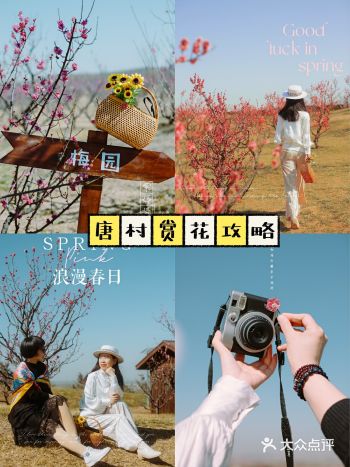 西安新晋赏花地——长安唐村