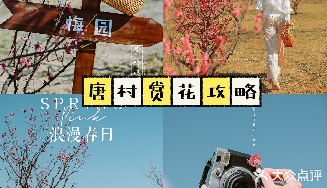 西安新晋赏花地——长安唐村