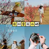 西安新晋赏花地——长安唐村