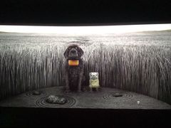 -万达影城(唐山爱琴海XLAND店)