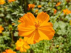 -宁波浙东大竹海景区