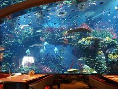 -迪拜帆船酒店海底餐厅