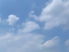 -上海月湖雕塑公园