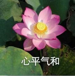 -Dr.林醫生产后修复·超级店(南京江宁同曦店)