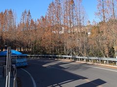 -棒棰岛宾馆景区
