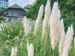 -上海吴淞炮台湾国家湿地公园