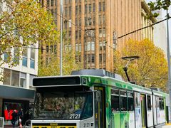 -墨尔本皇家植物园