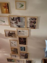 -静待花开瑜伽尊巴会馆