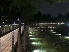 -映月湖公园
