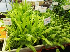 -海岛渔村大酒店(云霄路店)