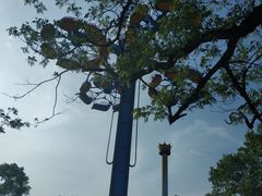 -哈尔滨文化公园