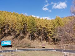 -塞罕坝国家级自然保护区