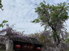 -老门东历史文化街区