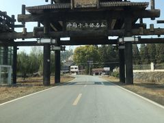 -千年银杏谷文化旅游区