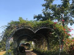 -那考河湿地公园