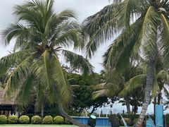 -香香海南菜餐厅