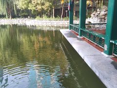 -新川办餐厅