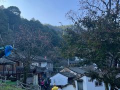 -丹山赤水风景名胜区