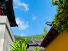 -黄贤森林公园