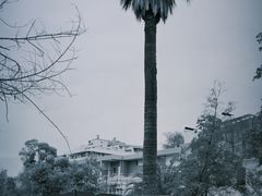 -上海当代艺术博物馆
