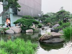 -罗红摄影艺术馆