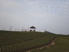 -径山花海