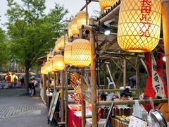 -长田漾湿地公园