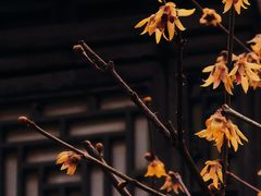 -颐和园