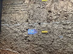 -盘龙城国家考古遗址公园