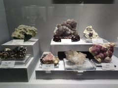 -湖南省地质博物馆