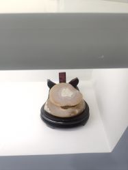 -ZELL·泽尔医疗美容