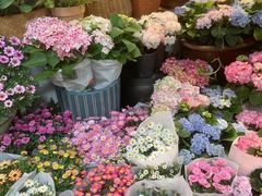 -双季花艺园艺市场(浦东店)