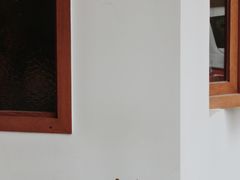 -PUZZLE COFFEE 拼图咖啡