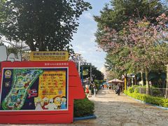 -史努比缤纷世界