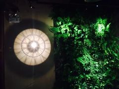 -胡桃里乐队酒馆(鎏嘉码头店)